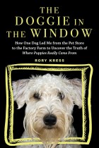 doggieinthewindow